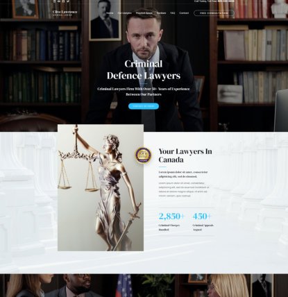 criminal lawyer